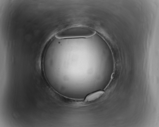 X0000099471173200805090807