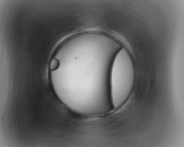 X0000099471174200805090807