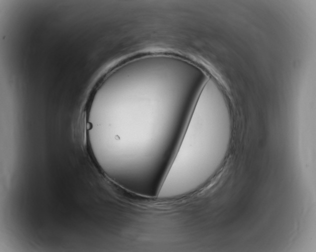 X0000099471175200805090807