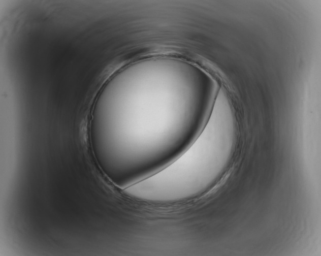 X0000099471177200805090807