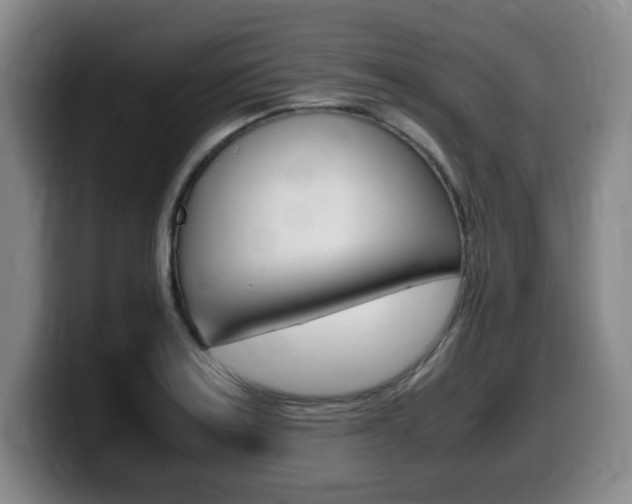X0000099471179200805090807