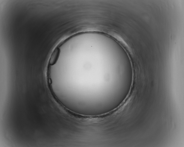 X0000099471181200805090807
