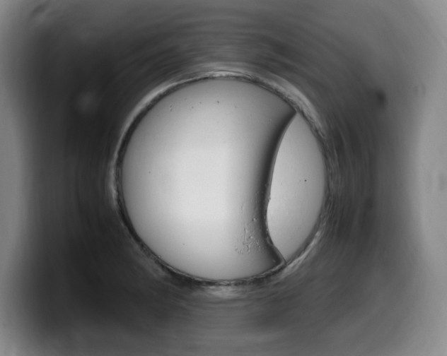X0000099471182200805090807