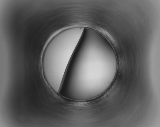 X0000099471184200805090807