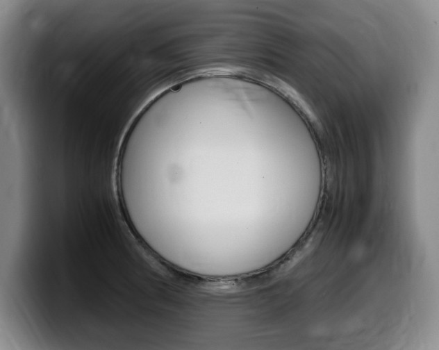 X0000099471186200805090807