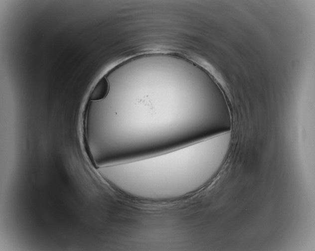 X0000099471187200805090807