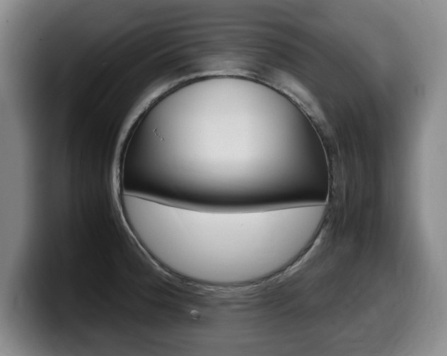 X0000099471188200805090807