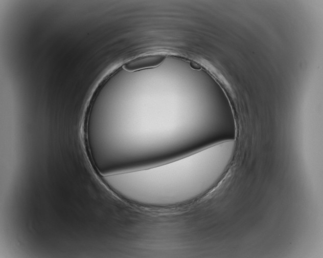 X0000099471189200805090807