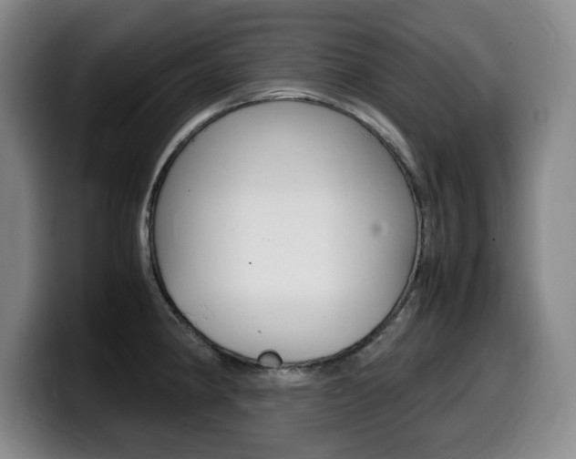 X0000099471190200805090807
