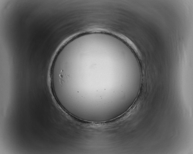 X0000099471191200805090807