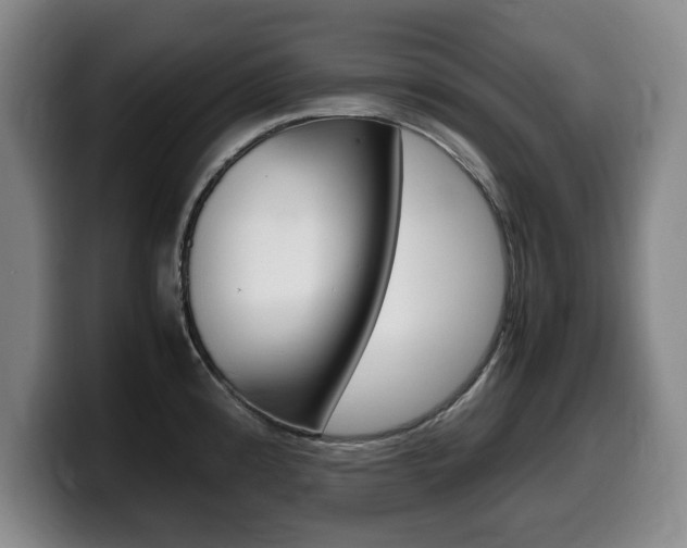 X0000099471192200805090807