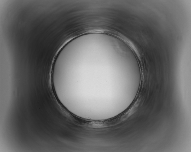 X0000099471194200805090807