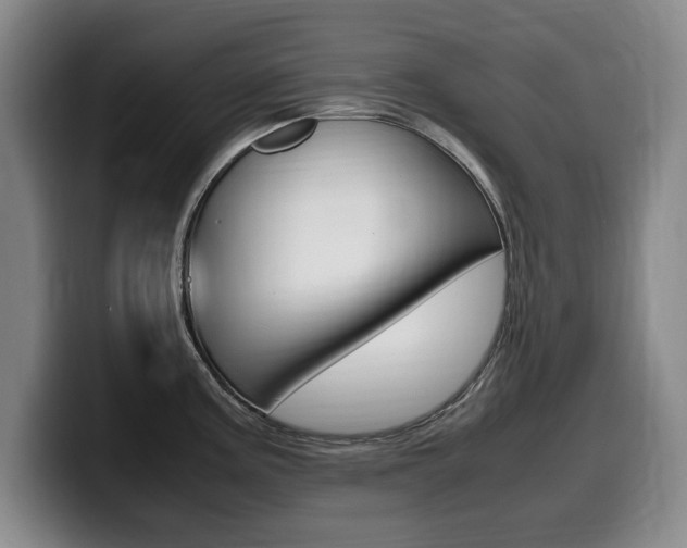 X0000099471195200805090807