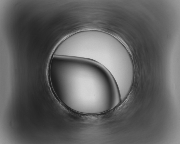 X0000099471197200805090807