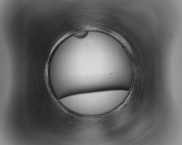 X0000099471198200805090807
