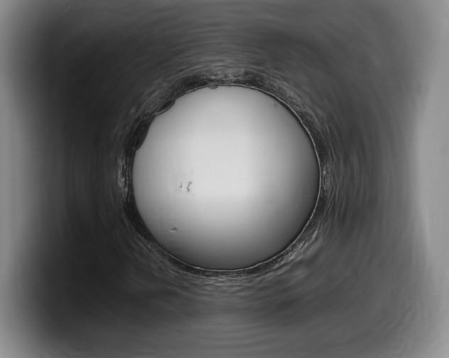 X0000099471202200805090806