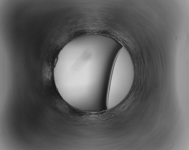 X0000099471204200805090806