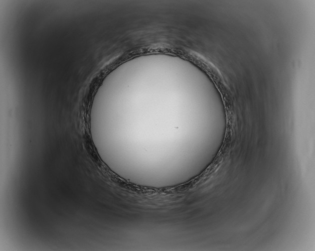 X0000099471207200805090806