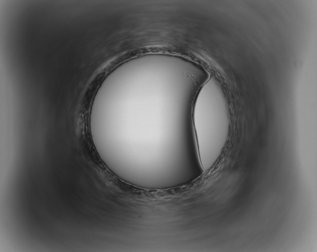 X0000099471208200805090806