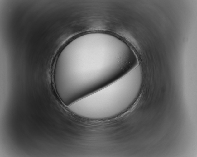 X0000099471212200805090807