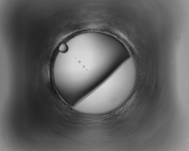 X0000099471214200805090807
