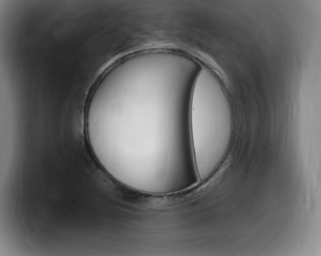 X0000099471220200805090807
