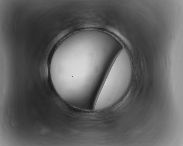 X0000099471221200805090807