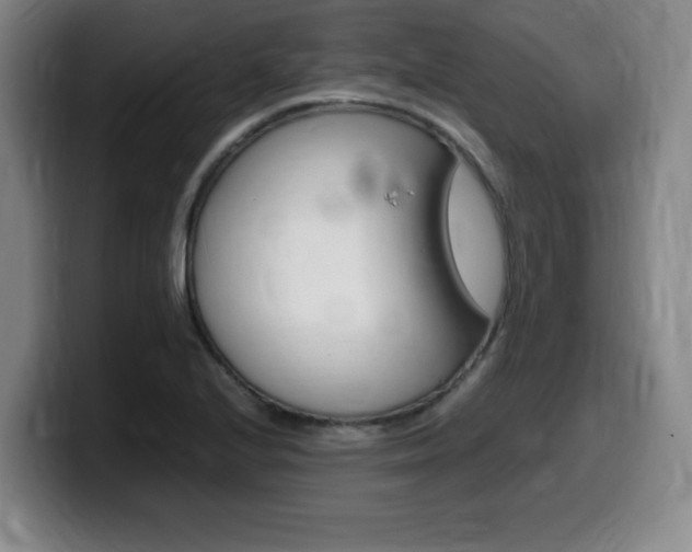 X0000099471224200805090807