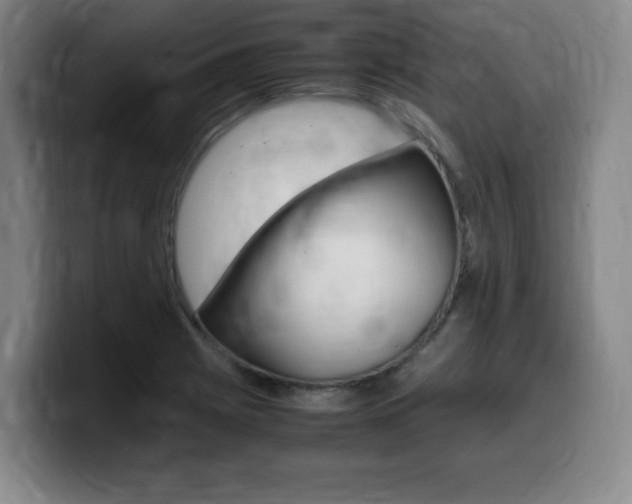 X0000099471225200805090807