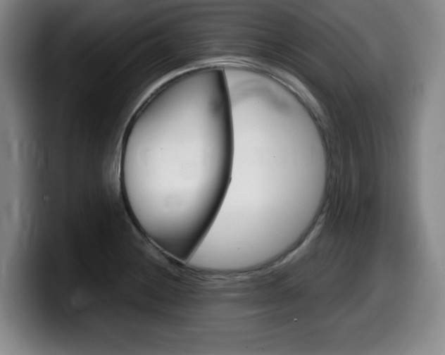 X0000099471228200805090807