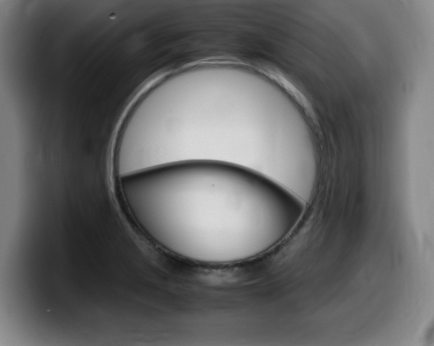 X0000099471229200805090807