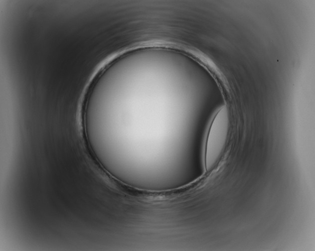X0000099471230200805090807