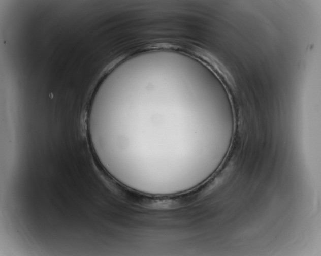 X0000099471233200805090807