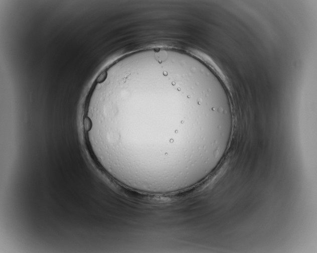 X0000099471235200805090807