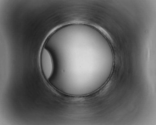 X0000099471238200805090807
