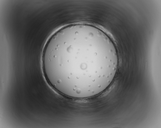 X0000099471239200805090807