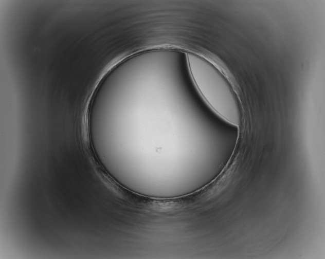 X0000099471242200805090807