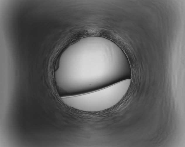 X0000099471249200805090806
