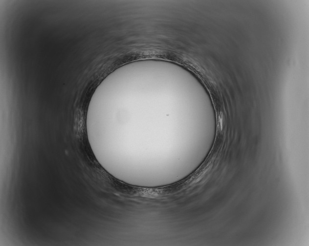 X0000099471251200805090806