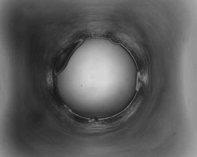 X0000099471252200805090806