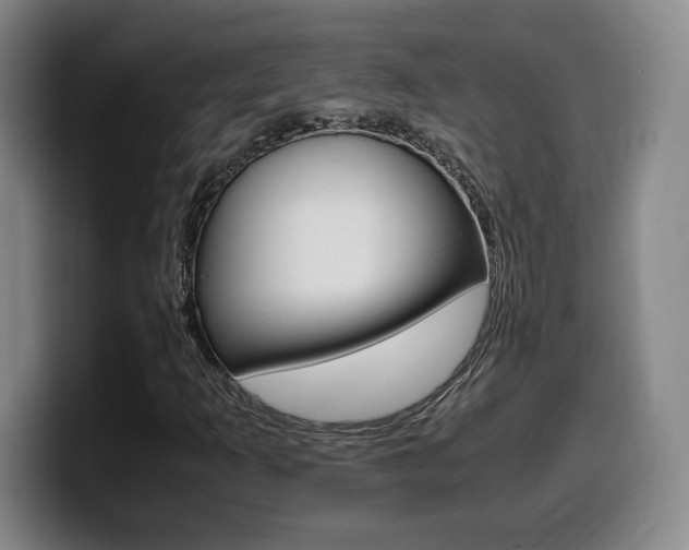 X0000099471253200805090806
