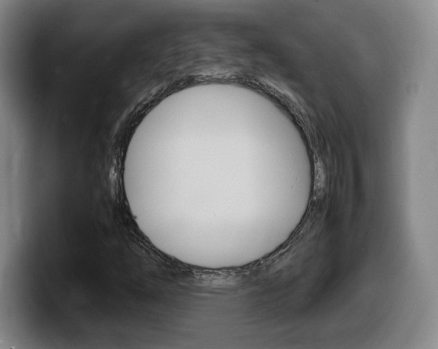 X0000099471254200805090806