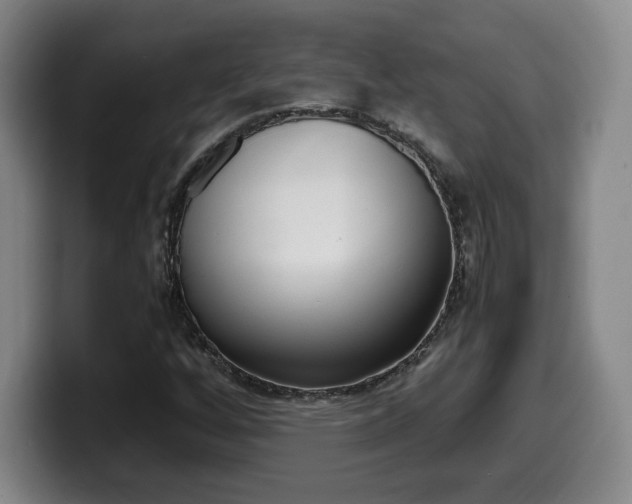 X0000099471256200805090806
