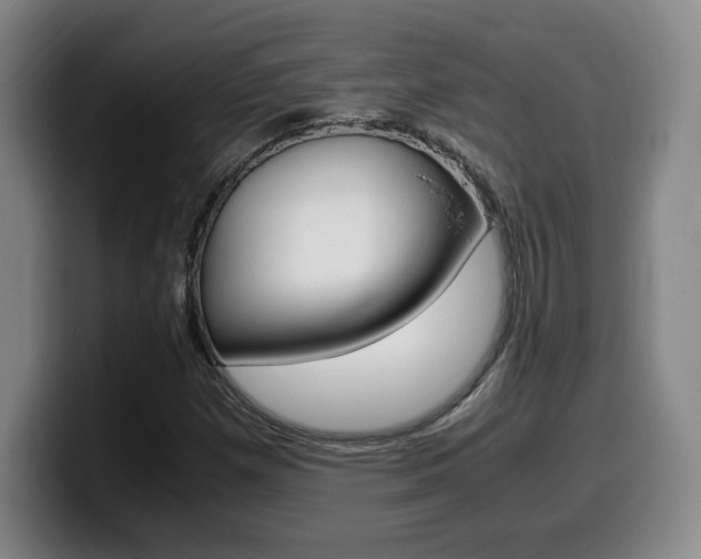 X0000099471257200805090806