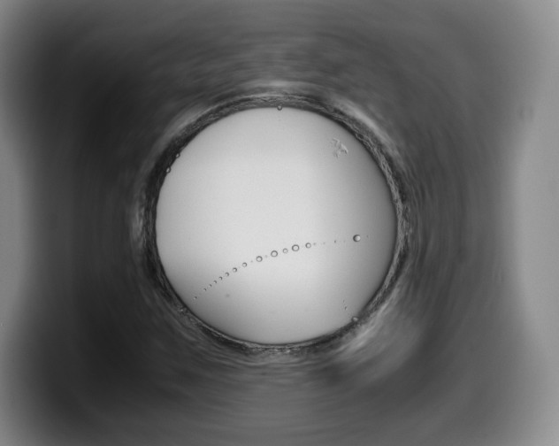 X0000099471259200805090806