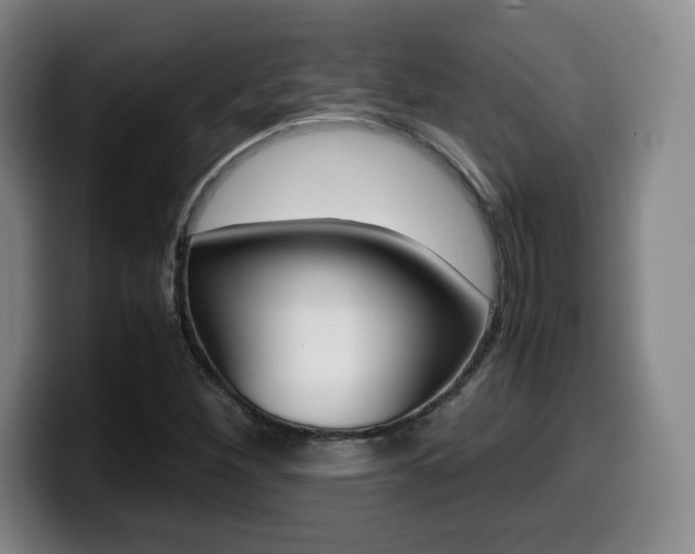X0000099471260200805090806