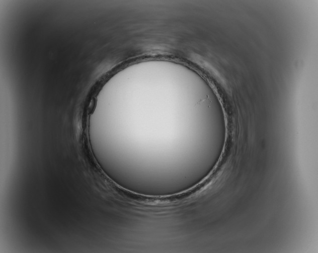 X0000099471261200805090806