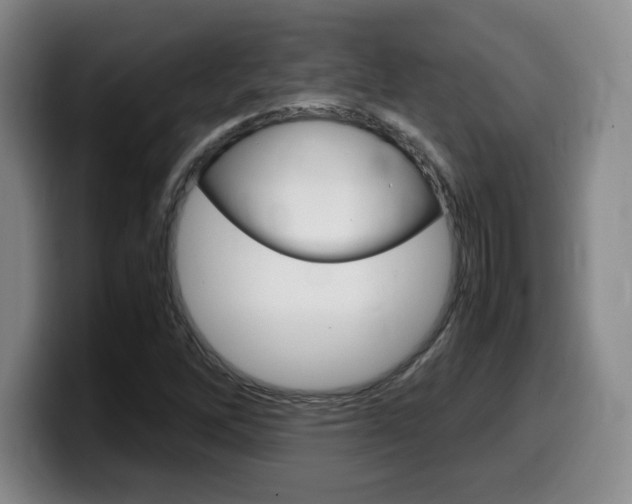 X0000099471262200805090806