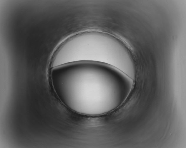 X0000099471264200805090806