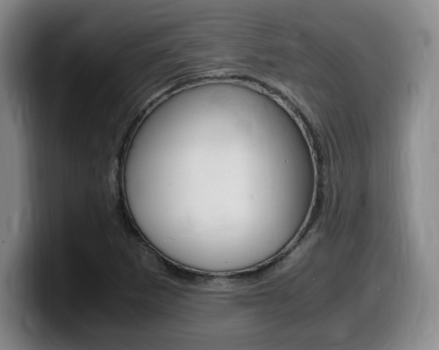 X0000099471265200805090806